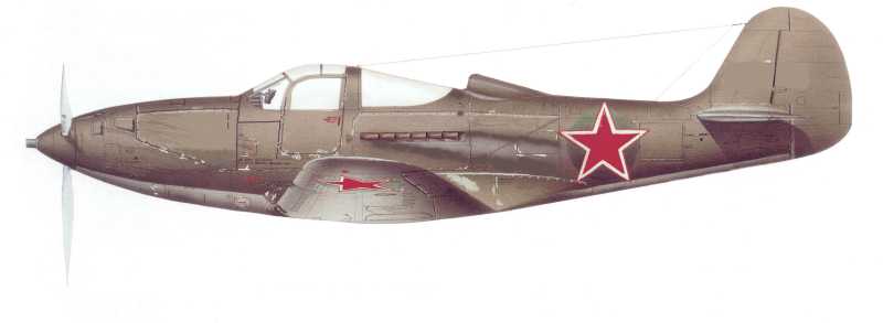 P-39 AIR COBRA VOSECKÁ.jpg