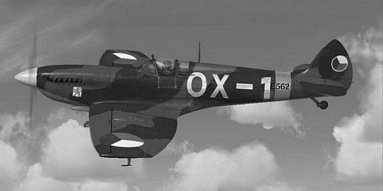 ox-1--550.jpg